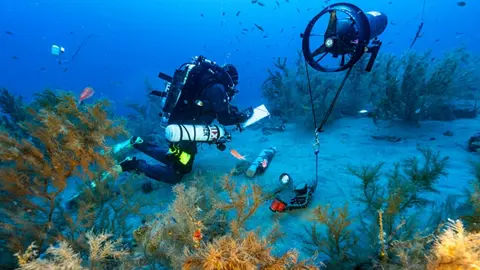 Imagen de la investigación del coral negro de Playa Chica.