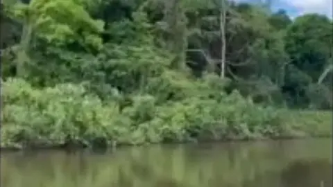 Imagen de la selva amazónica extraida del vídeo publicado por Toñin Corujo.