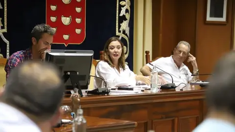 Imagen del pleno de este lunes.