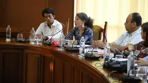 Imagen de Ariagona Gonzalez durante el pleno.