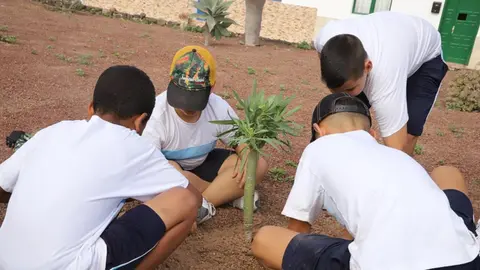 Imagen de niños participando en la plantación de bosquepilas en la Graciosa.