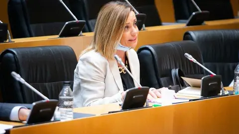 Ana Zurita, diputada del Partido Popular de Canarias en el Congreso.