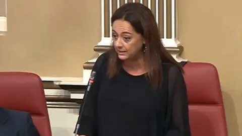 Nereida Calero, diputada del Grupo Nacionalista Canario.