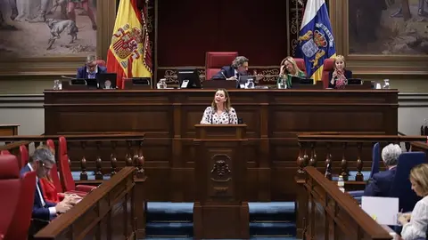María Dolores Corujo en el Parlamento de Canarias.