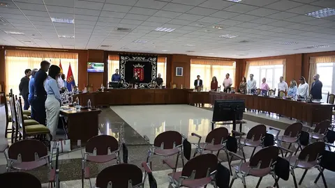 Pleno del Cabildo de Lanzarote.
