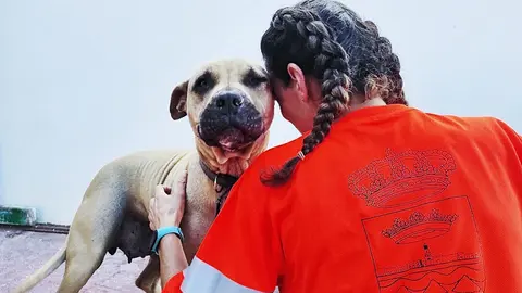Perro del centro de acogida de animales de Teguise.