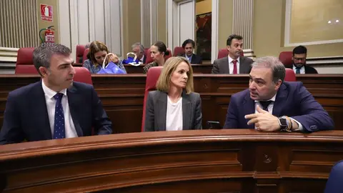 Diputados populares en el Parlamento de Canarias.
