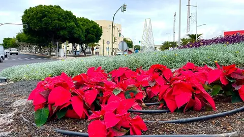 Pascuas en Arrecife.