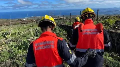 Momento del traslado realizado por los bomberos