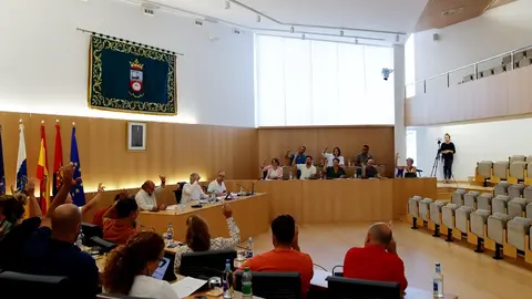 Imagen del pleno del Ayuntamiento de Tías.