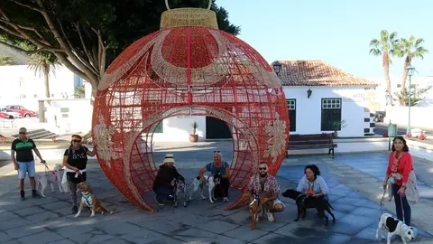 Perros y voluntarios a la llegada a la plaza.