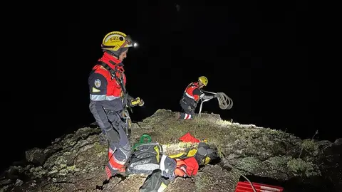 Momento de la actuación de los bomberos para rescatar al animal en dificultades