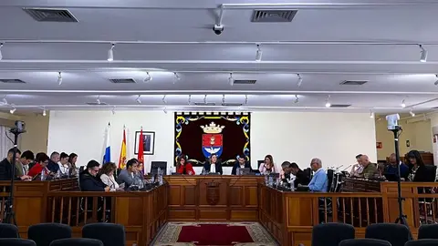 Imagen del pleno celebrado este viernes en Arrecife