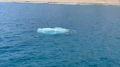 Imagen del agua de la tubería saliendo tras la rotura.