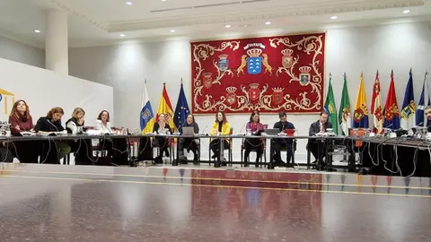 Comisión de Derechos Sociales, Igualdad, Diversidad y Juventud del Parlamento de Canarias