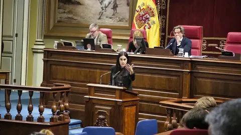 Vidina Espino en el Parlamento de Canarias.
