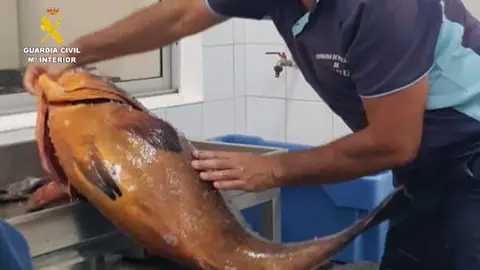 Imagen de una de las capturas de la Guardia Civil.