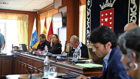 María Dolores Corujo durante el pleno de aprobación de los presupuestos.