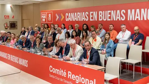 Comité Regional PSOE 040