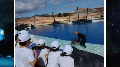 Imagen del delfinario y del aula de la naturaleza del Rancho. 