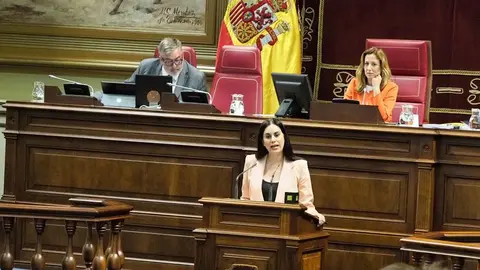 Vidina Espino en el Parlamento de Canarias.