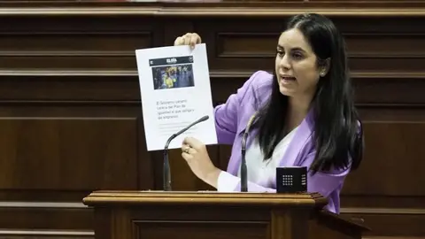 Vidina Espino en el Parlamento de Canarias.