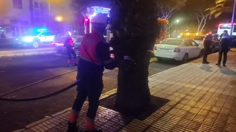 Los bomberos sofocan el fuego de una palmera en la Rambla Medular.