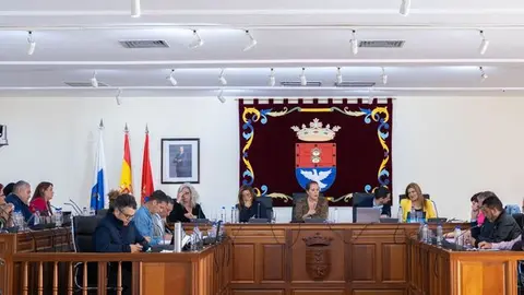 Imagen del pleno municipal