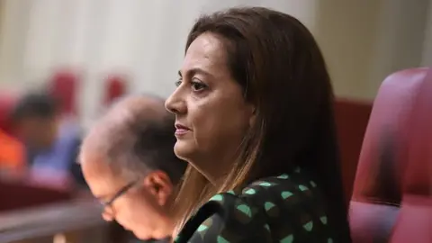 Nereida Calero, diputada del Grupo Nacionalista Canario.