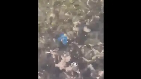 Imagen del pez llamativo encontrado por los pescadores de La Santa