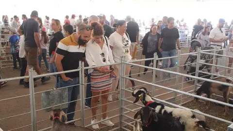 Imagen de la gente visitando la feria