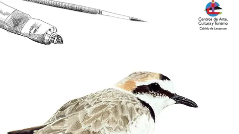 Taller de Ilustración Naturalista y Científica de los CACT.