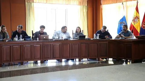 Imagen de los consejeros de CC en un pleno del Cabildo.
