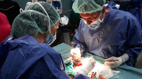 Imagen de un transplante de órganos.