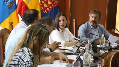 Imagen de los consejeros de CC en un pleno del Cabildo. 