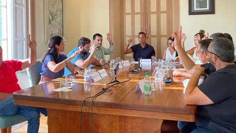 Imagen de la votación en el pleno.