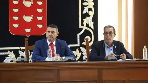 Imagen del pleno del Cabildo sobre las jaulas