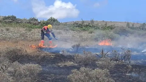 Bomberos apagando el fuego en el arenal.