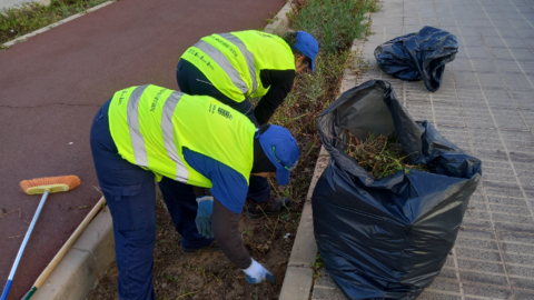 Buen balance de los planes de Empleo del Ayuntamiento de Arrecife