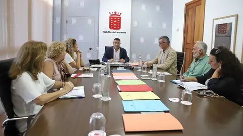 REUNIÓN CABILDO LANZAROTE + AFA, ADISLAN Y EL CRIBO