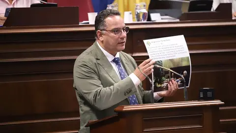 Poli Suárez en el Parlamento de Canarias.