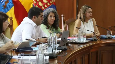 Imagen de los consejeros del PSOE  en el pleno del Cabildo