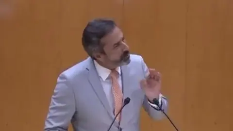 Pedro San Ginés durante su intervención en el Senado. 