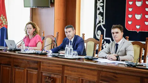 PRESIDENTE CABILDO LANZAROTE (CONSEJO SPEL)