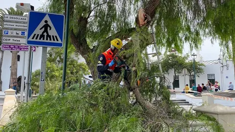 Un bombero tala las ramas de un árbol que podían ser peligrosas en Yaiza.