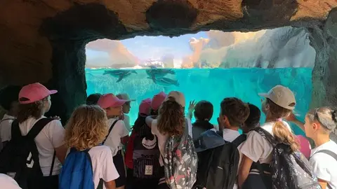 Niños participantes en la actividad desarrollada en el Rancho Texas.