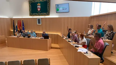 Pleno del Ayuntamiento de Tías.