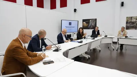 Reunión de la consejera de Turismo del Gobierno de Canarias.