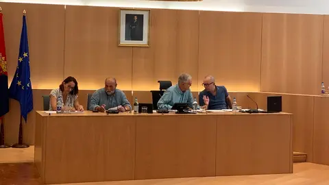 José Juan Cruz y Nicolás Saavedra en el pleno de Tías.