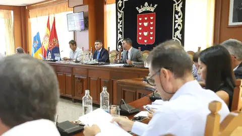 Imagen del pleno del Cabildo de este viernes.